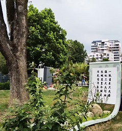 回复诗
