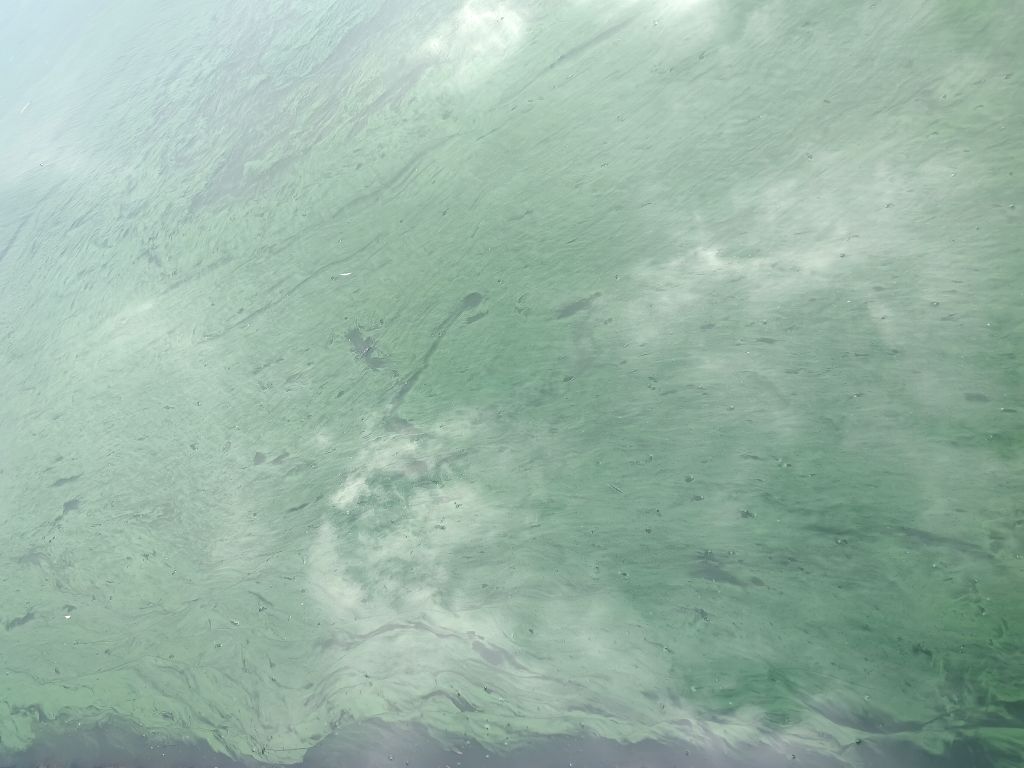 20250728173438front2_0_354307_Fsask4AG1eWTCqpBiJVgt_QNgepy.jpg