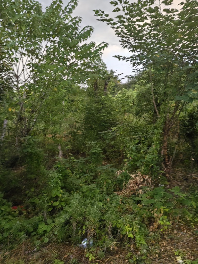 20250729183445front2_0_252758_FjcjLAzHkgBo9FE5okQooiMNAj6q.jpg