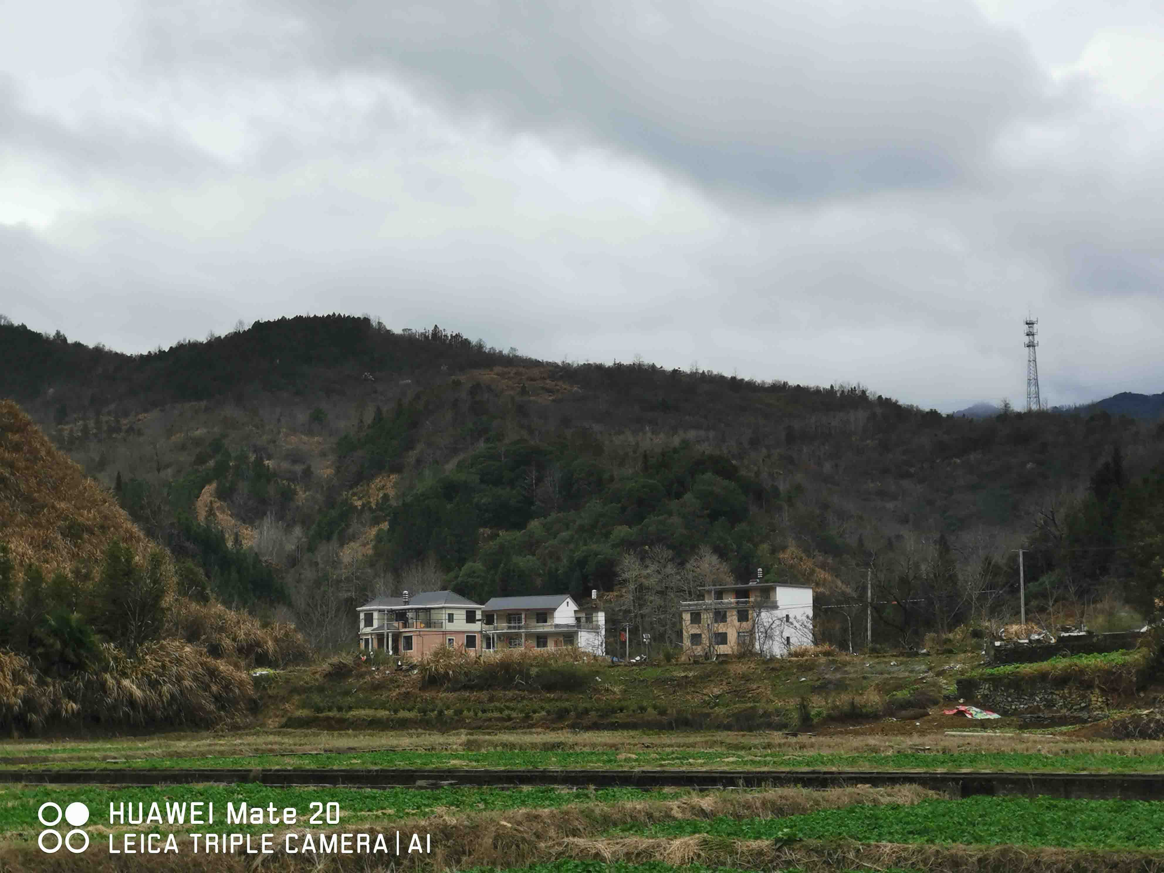 远望打矿坞