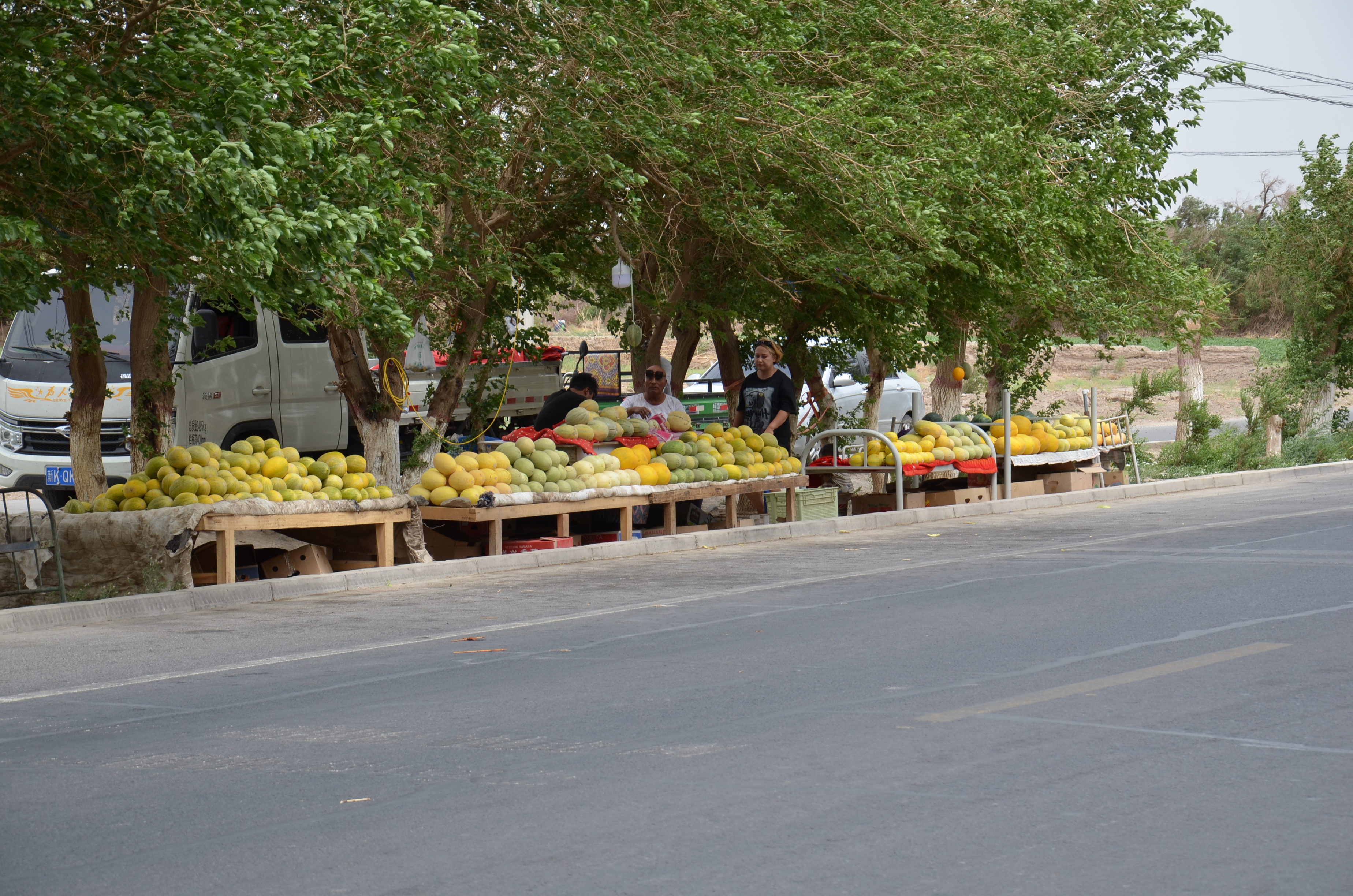 DSC_1063.JPG