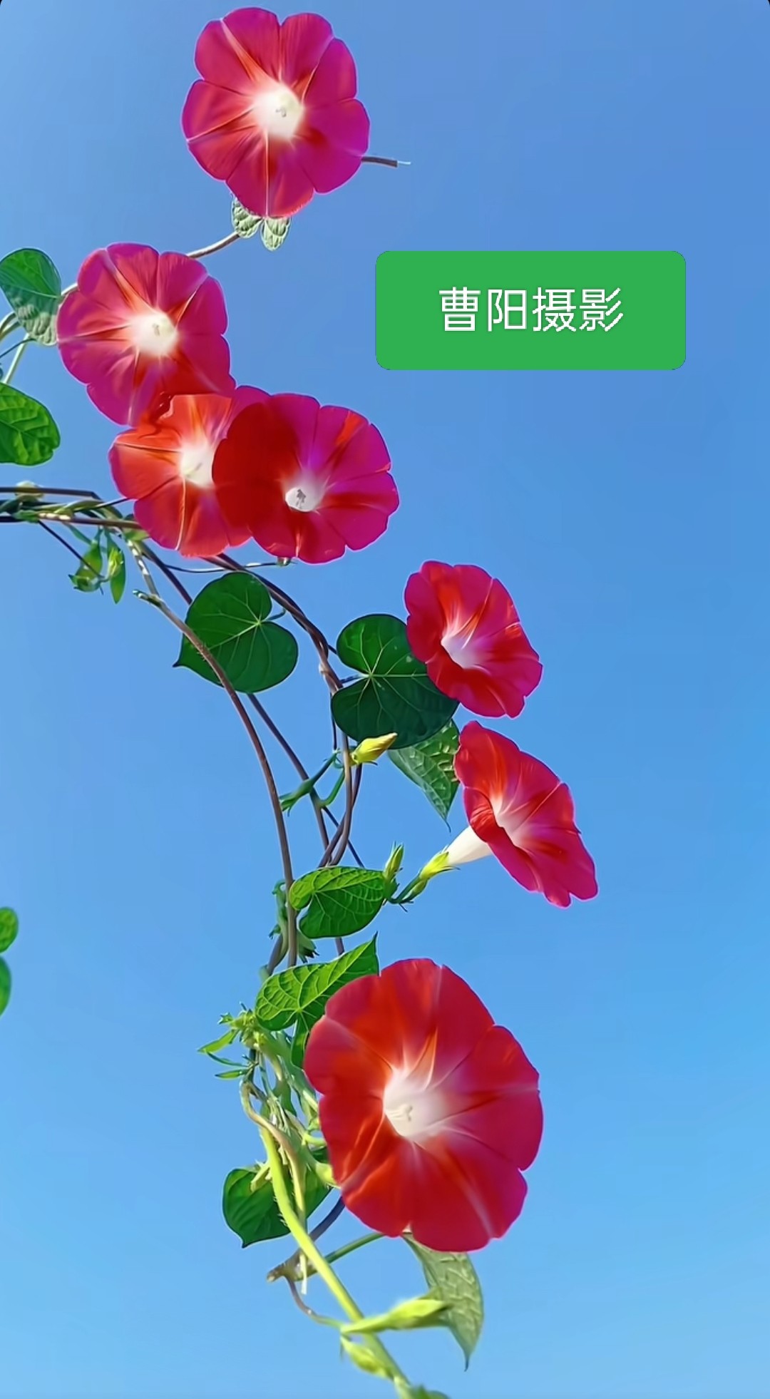 20250731203357front2_0_294866_FsN5xl5mBOMytENp_Tmj2fznCeKO.jpg