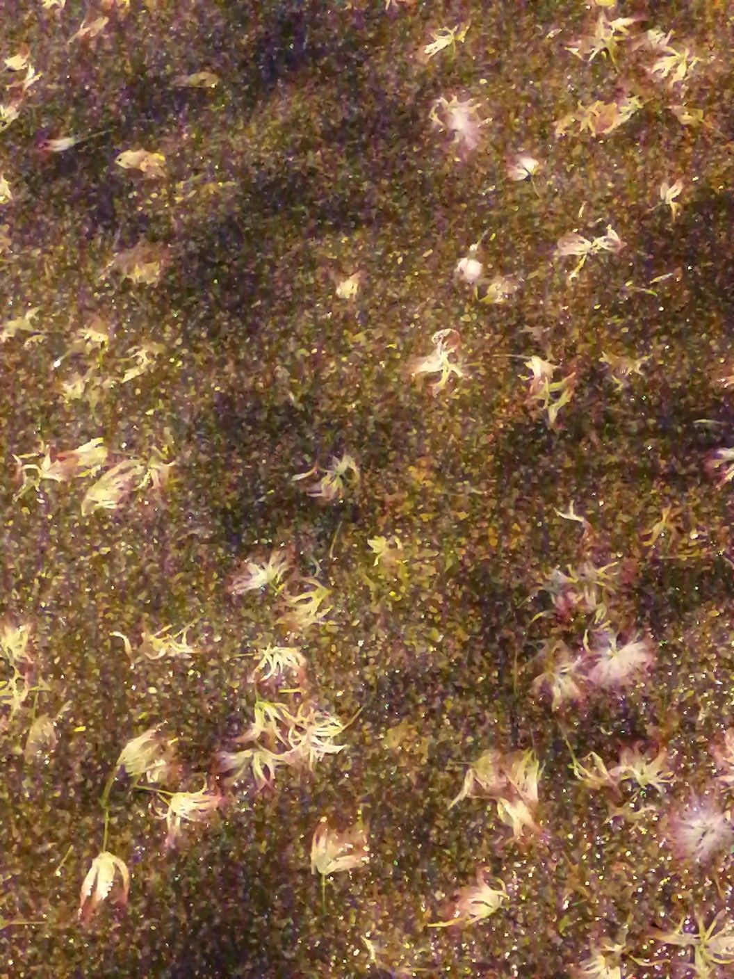 20250802055535front2_0_276372_FlCp719CJYE_HYdCP75m6zmvGm7M.jpg