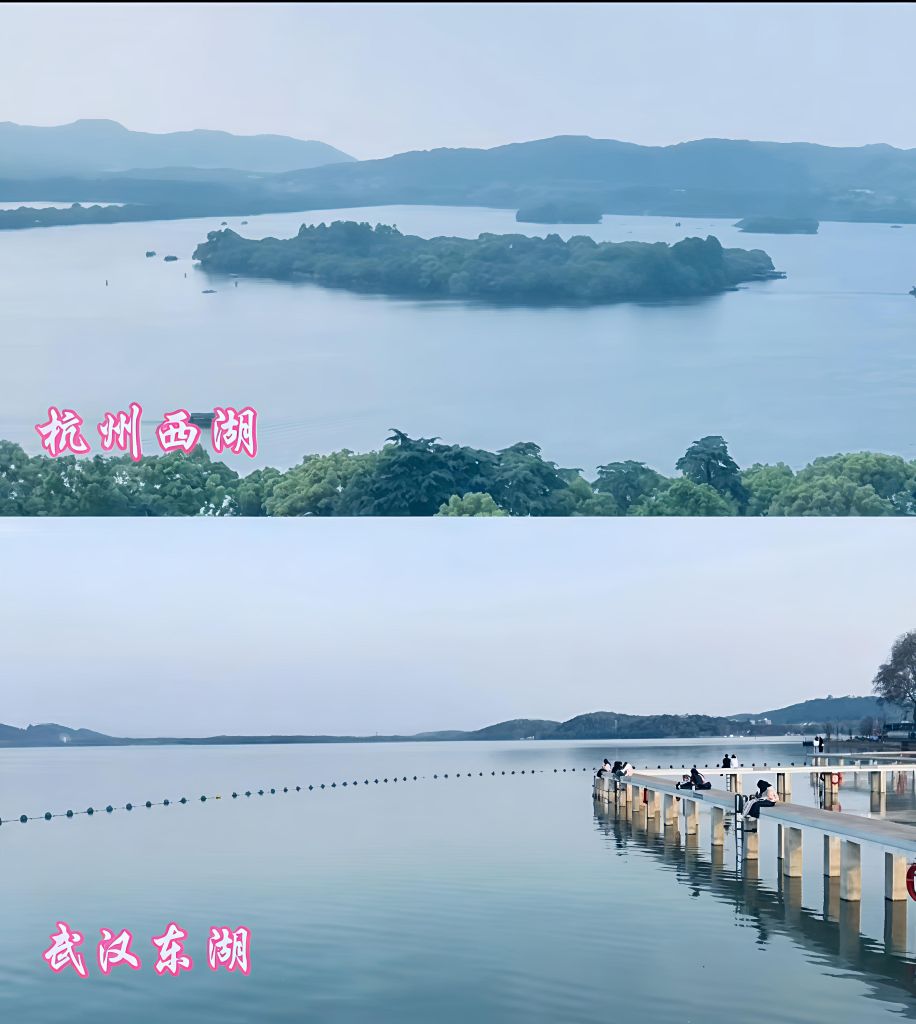 20250803103822front2_0_393243_FuMu7KnaYdmxE6dR7DpdD35ZSxyL.jpg