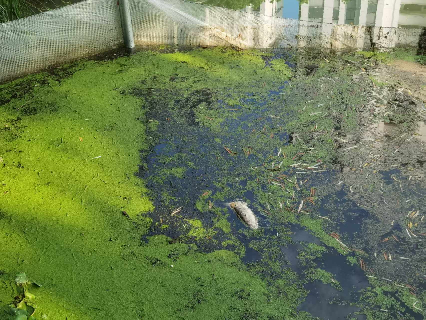 微信图片_20250804083640.jpg