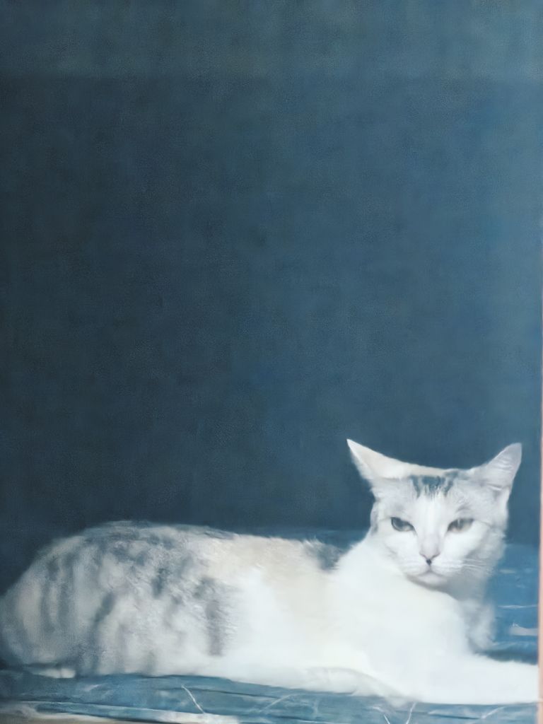20250804130147front2_0_280297_FjofySBFU0mE6YE3tTnkVYJlbpTx.jpg