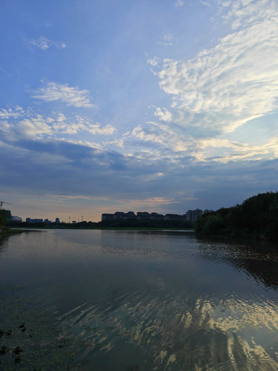 20250806071934front2_0_106881_FmTlgoCdFd5ZkUKkrg2DZtXvT5tG.jpg