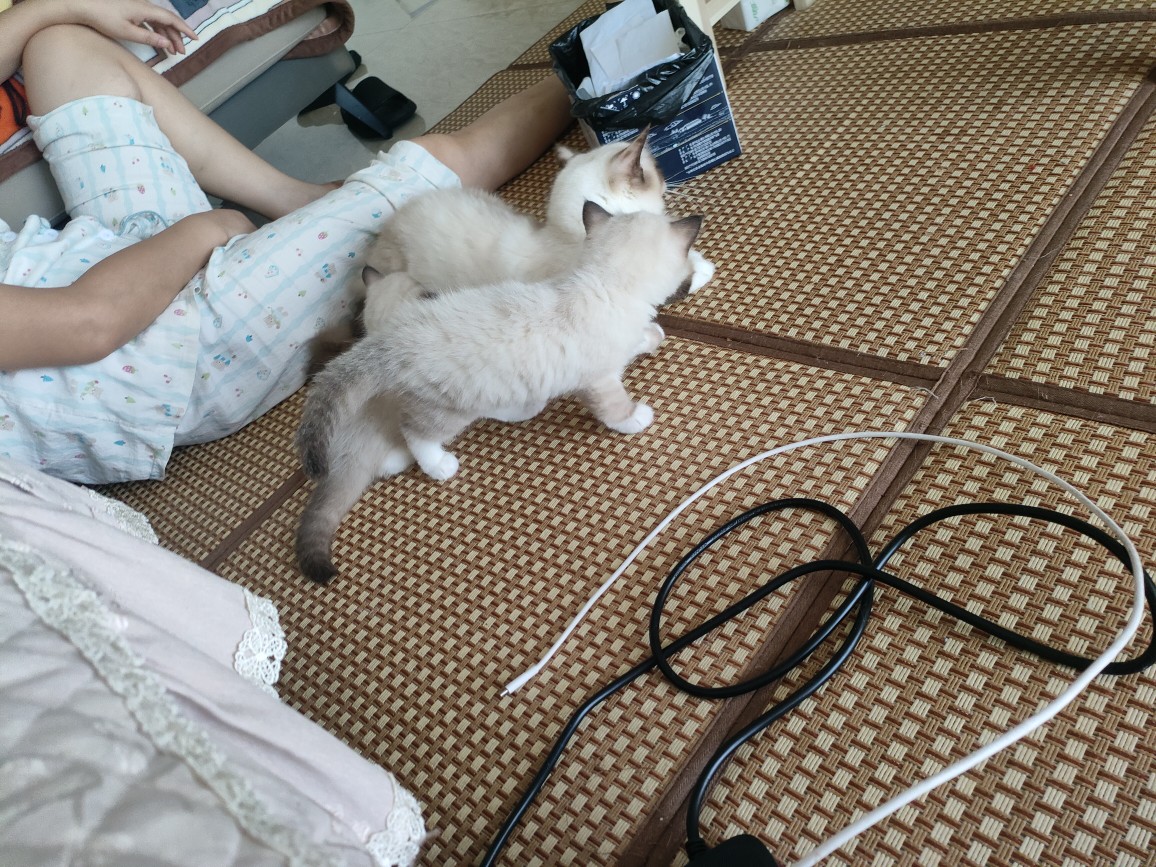 20250806144624front2_0_250749_FhWHInniPFajZY1u9oSbPMj29VvQ.jpg
