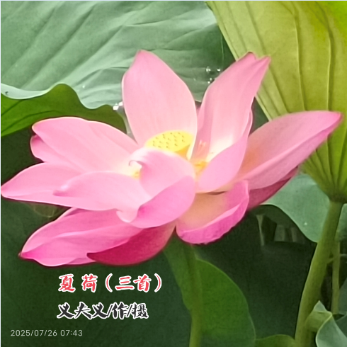 QQ_1754616342925.png