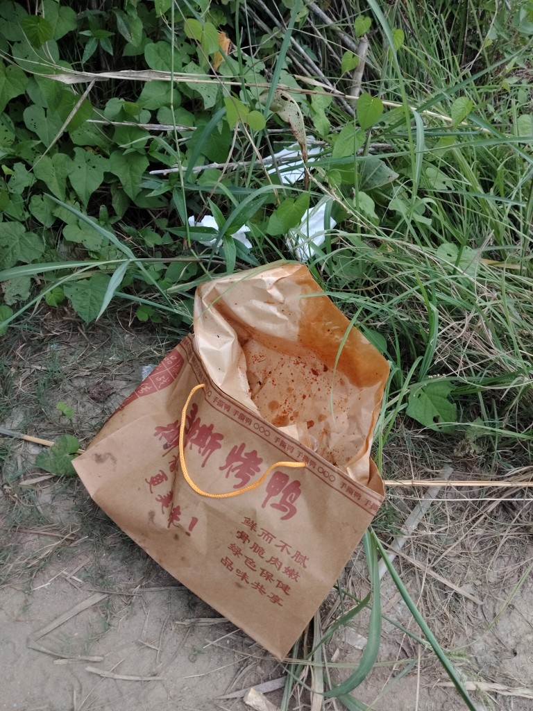 20250808215633front2_0_247149_FjpjRqHEiPiyskcSV5308ZNPK8XS.jpg