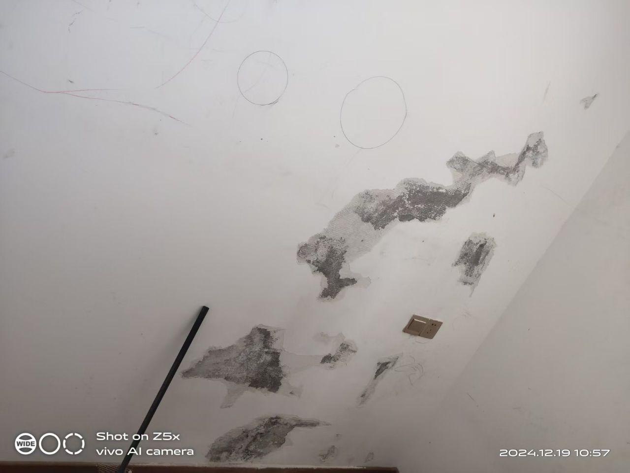 20250809171004front2_0_355023_FuN3W-fEp-iwf131OklcZy-IxYU1.jpg