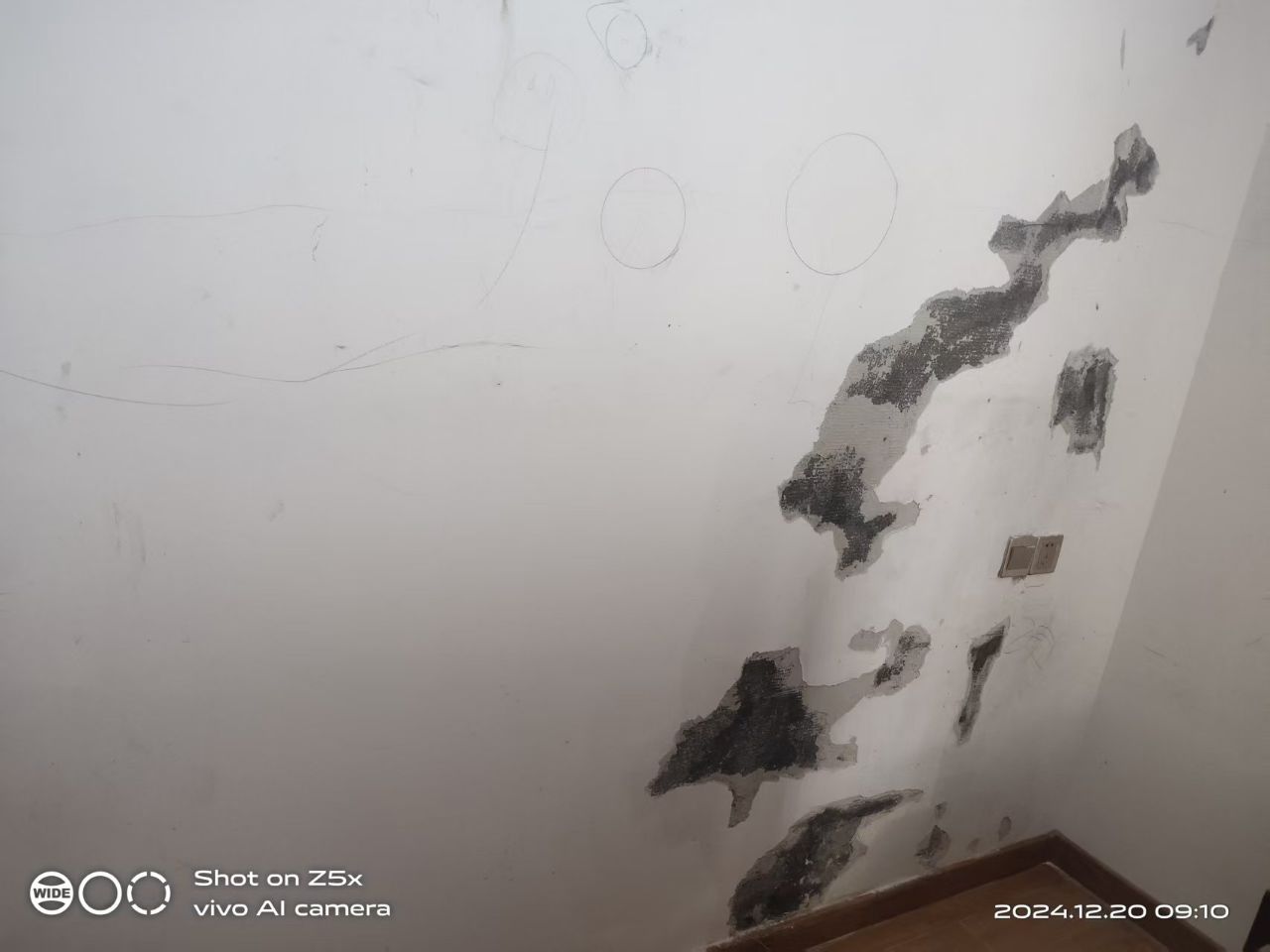 20250809171006front2_0_355023_FiTI7zZSYXUXFWLn2sq6BwQbFBE7.jpg