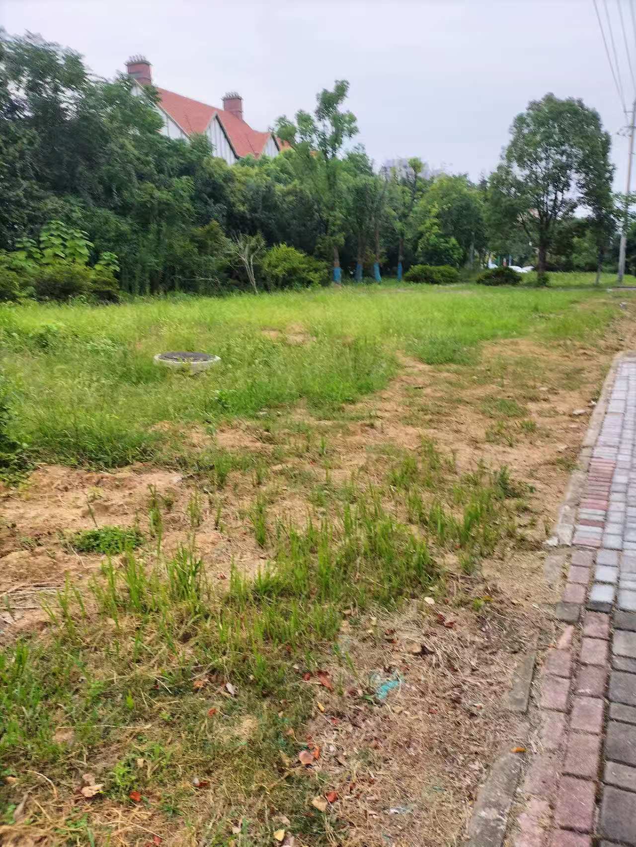微信图片_20240401152841.jpg