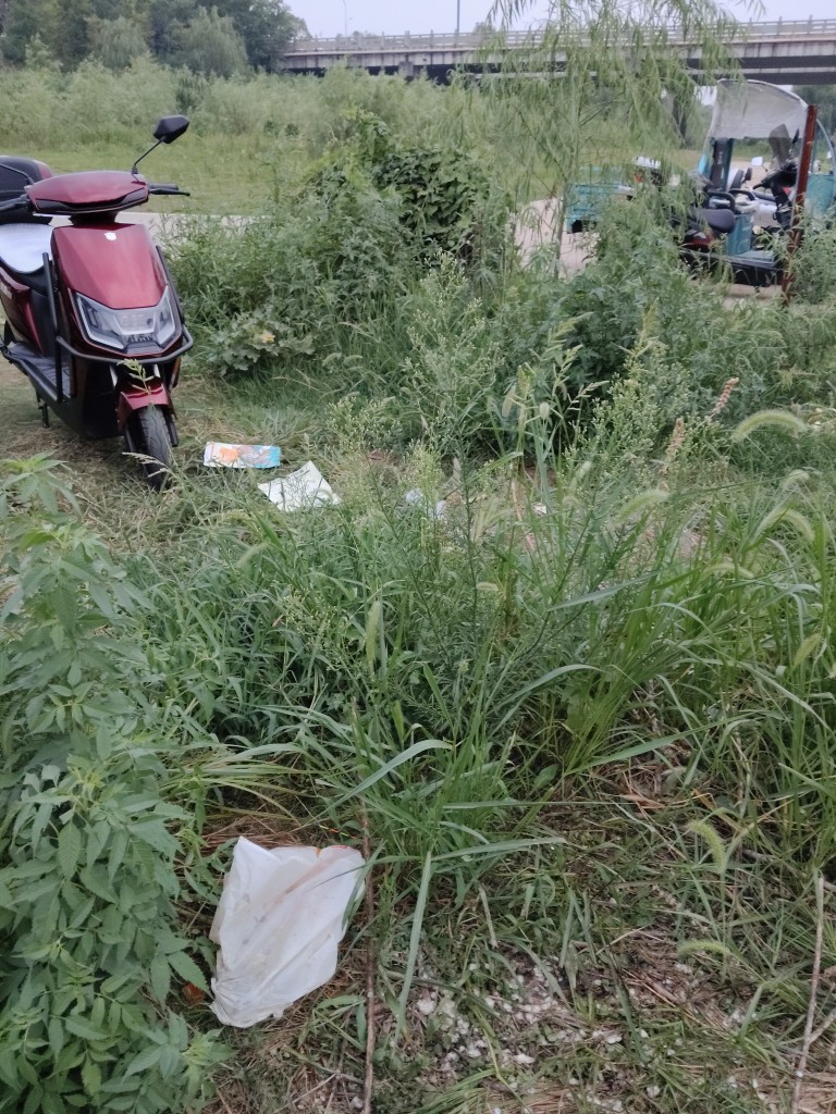 20250810222458front2_0_247149_FjZbk2MpAfCqaJbaIXXw3Lt3f1cB.jpg