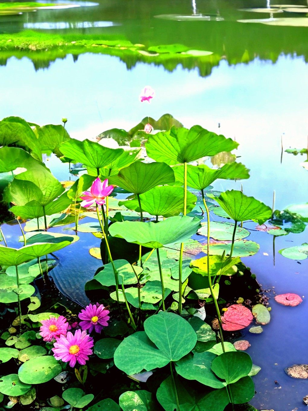 20250811153102front2_0_32012_FhISfYoPiQg7B9EUMfDu0W3bn2rW.jpg