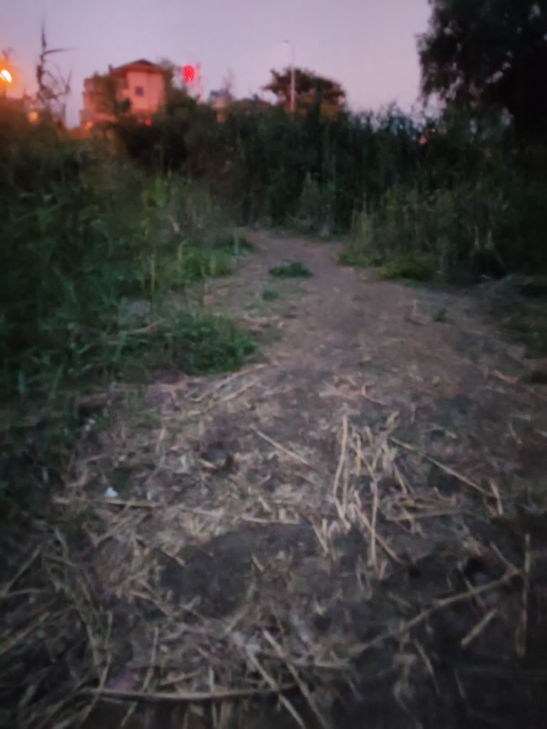 20250811202029front2_0_247149_Fp9f2n4y757hlZPbiuRu4KOFqfCC.jpg