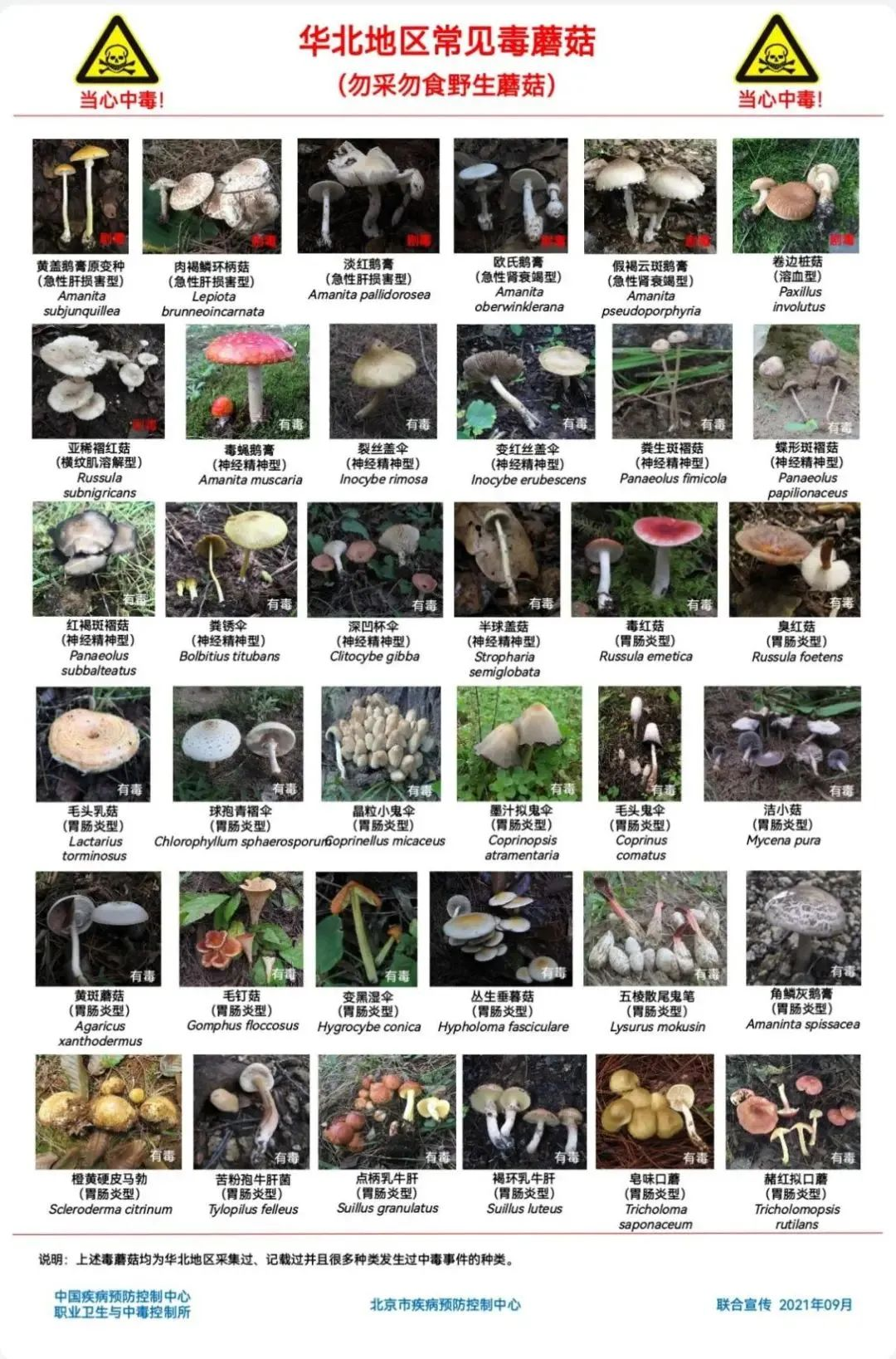 微信图片_2025-08-12_163043_124.png