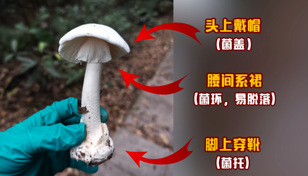 微信图片_2025-08-12_163050_260.png