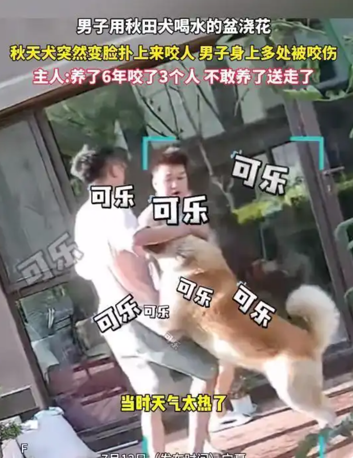 8.png