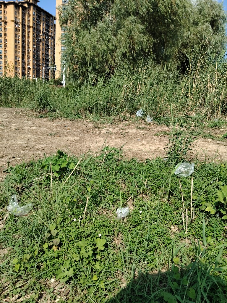 20250818195328front2_0_247149_FtsAYCOlqolEU4GUBZzyisqfcblT.jpg