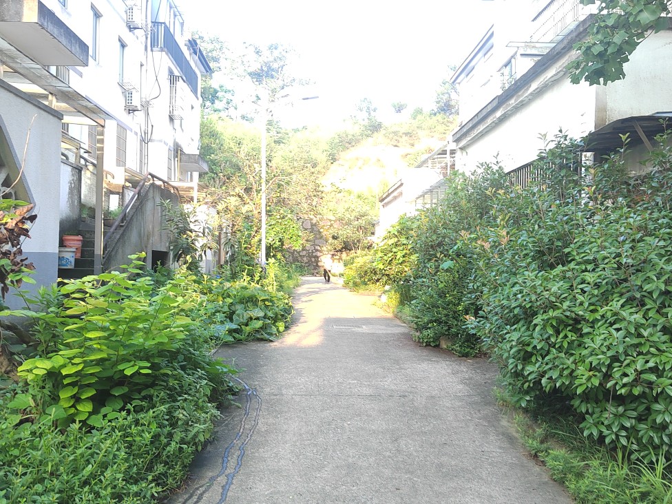 20250819150438front2_0_54200_FslAiTGtAkT4aT_GLCMfGEOBvrRY.jpg