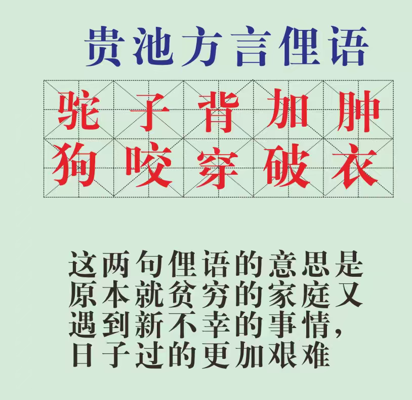 20250821173728front2_0_96797_FggUbHo1OUUPOeOChVQR9ia49yuj.png