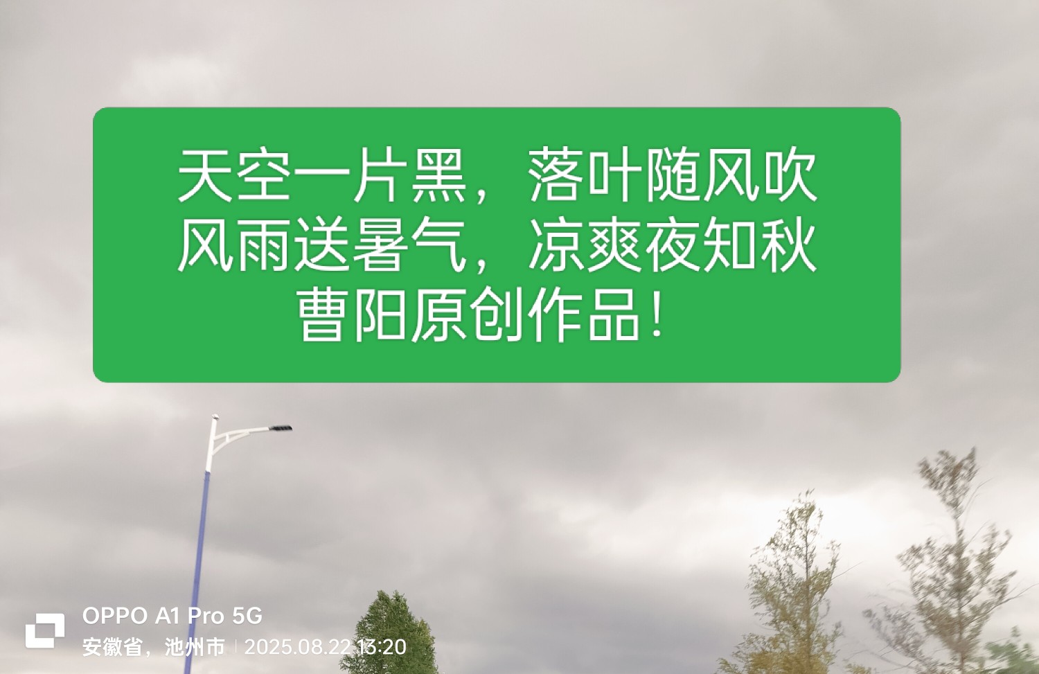 20250823070434front2_0_294866_FpXjir7ZXmhbGduayeuxaL-4aBNn.jpg