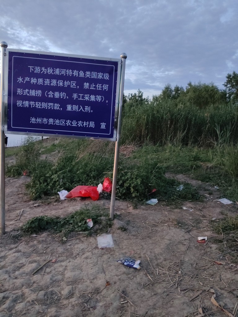 20250823212328front2_0_247149_FopAAAMlpOVn3MrvxqhQZ4xmHZPx.jpg