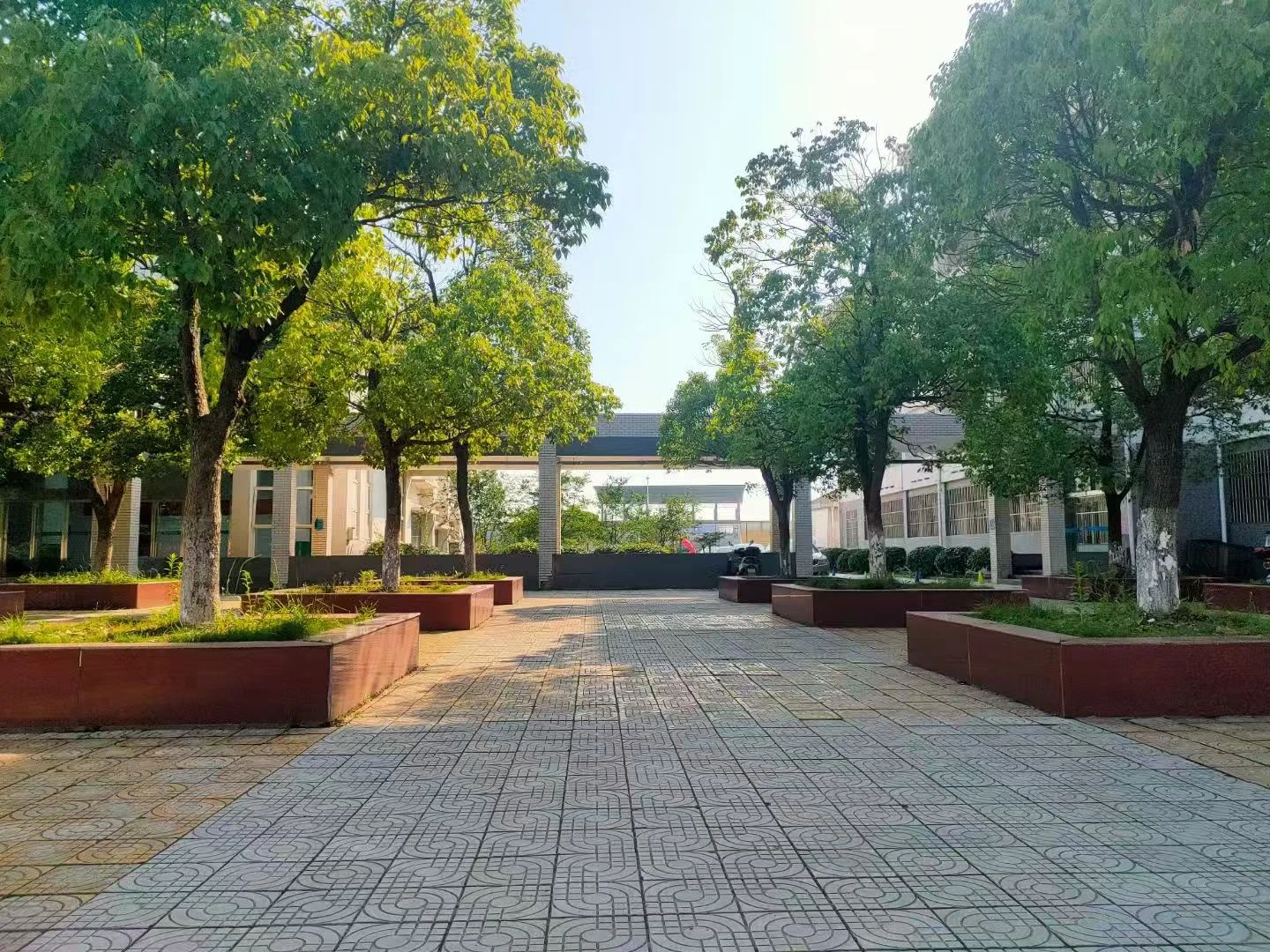 微信图片_2025-08-28_102654_408.jpg
