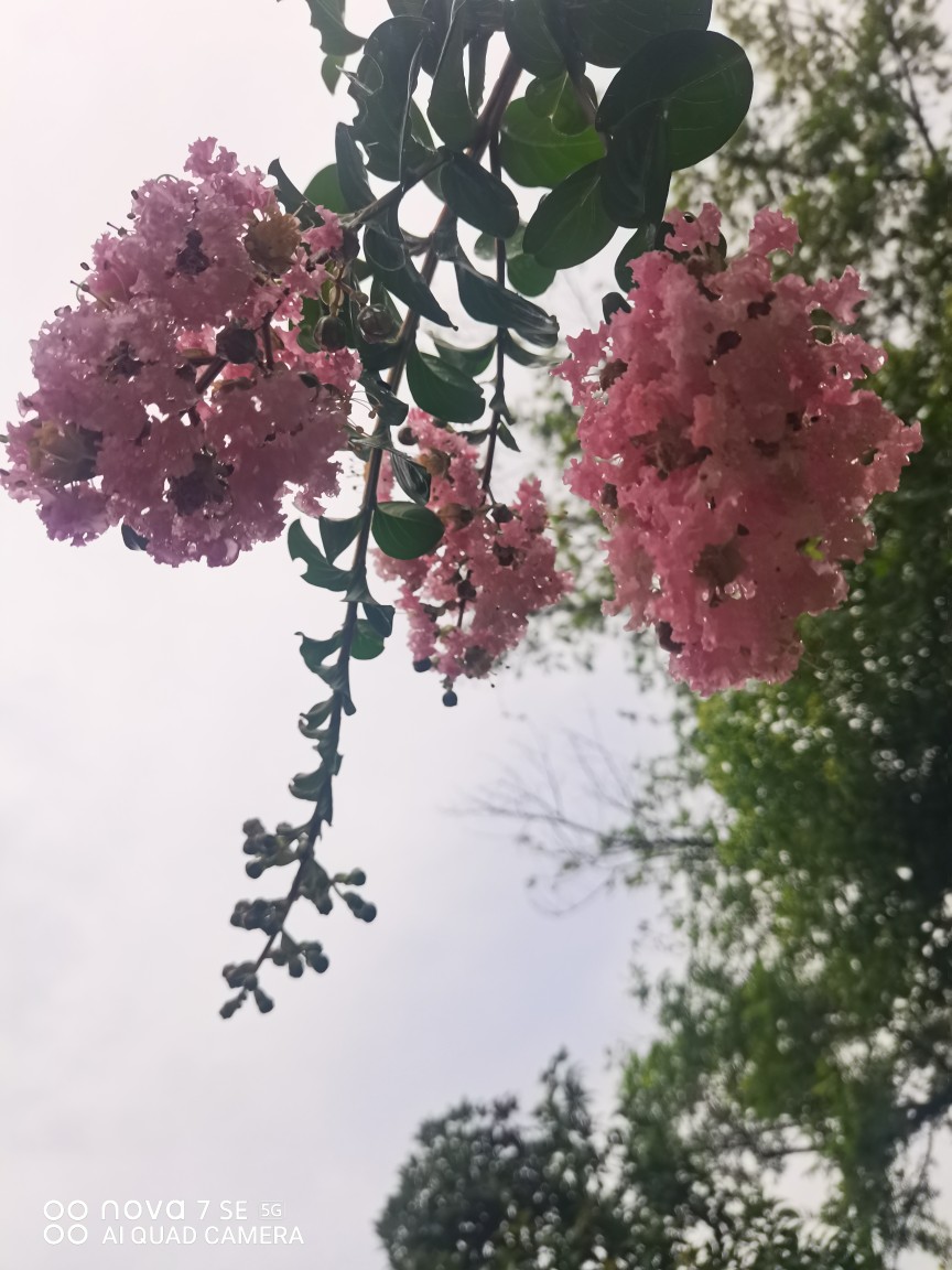 20250901072340front2_0_323565_FnXVR5T_wa_uivtNr12juKq6zSP9.jpg