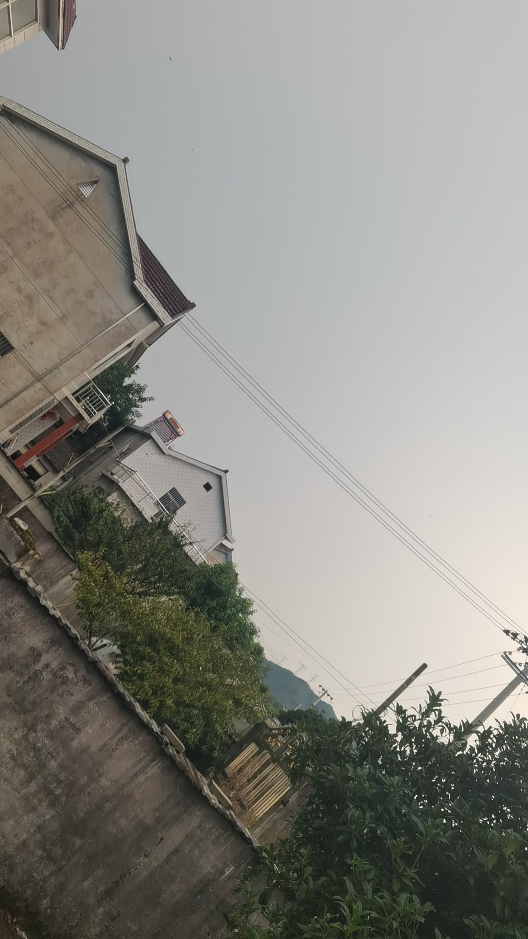 20250905181316front2_0_323565_Flc_Pd8g8jKhTnAIui1kljTIS0Ji.jpg