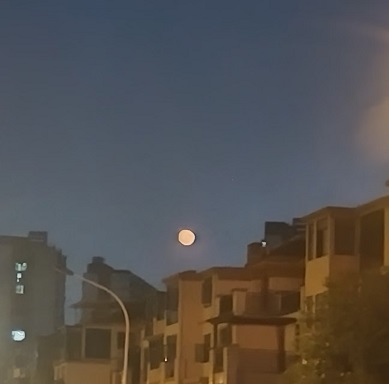 未成时