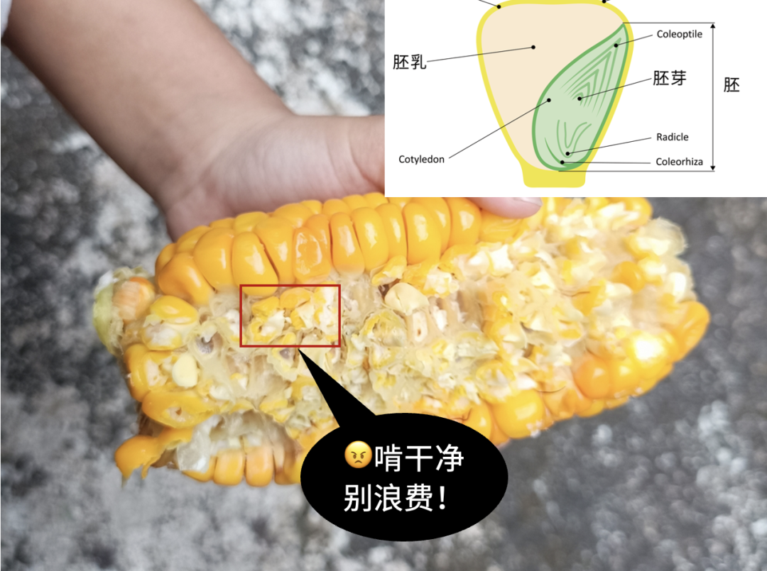 微信图片_2025-09-08_141301_778.png
