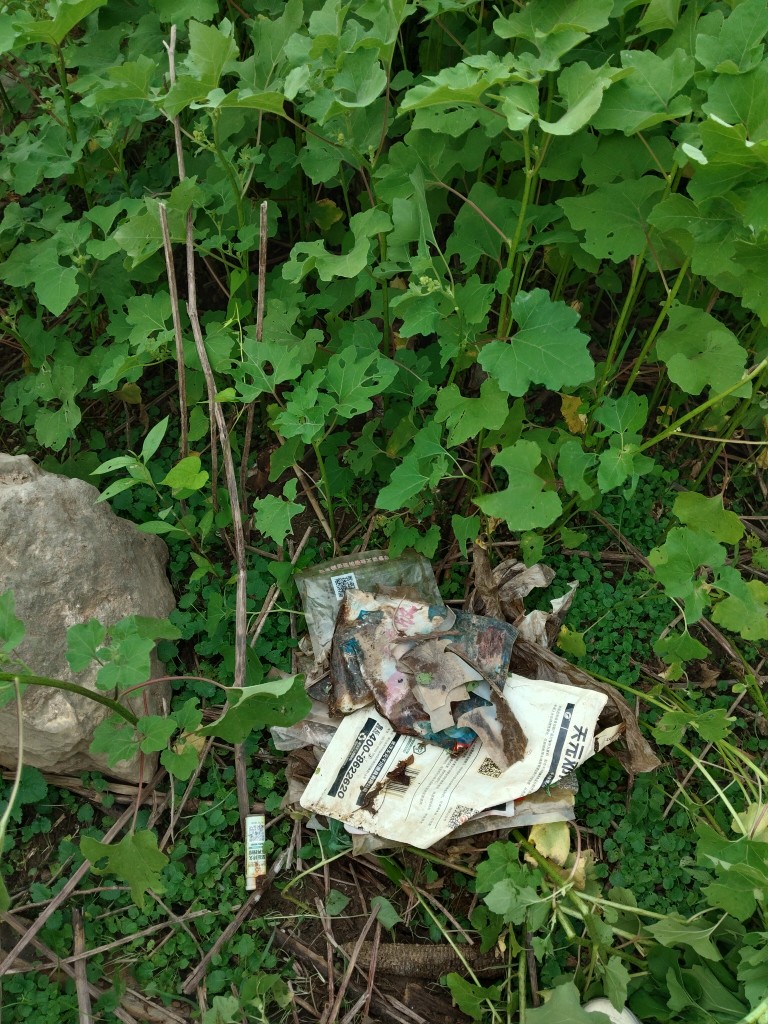 20250912195835front2_0_247149_FrzbKpghdZHreVOR8Y9uB70Xd64U.jpg