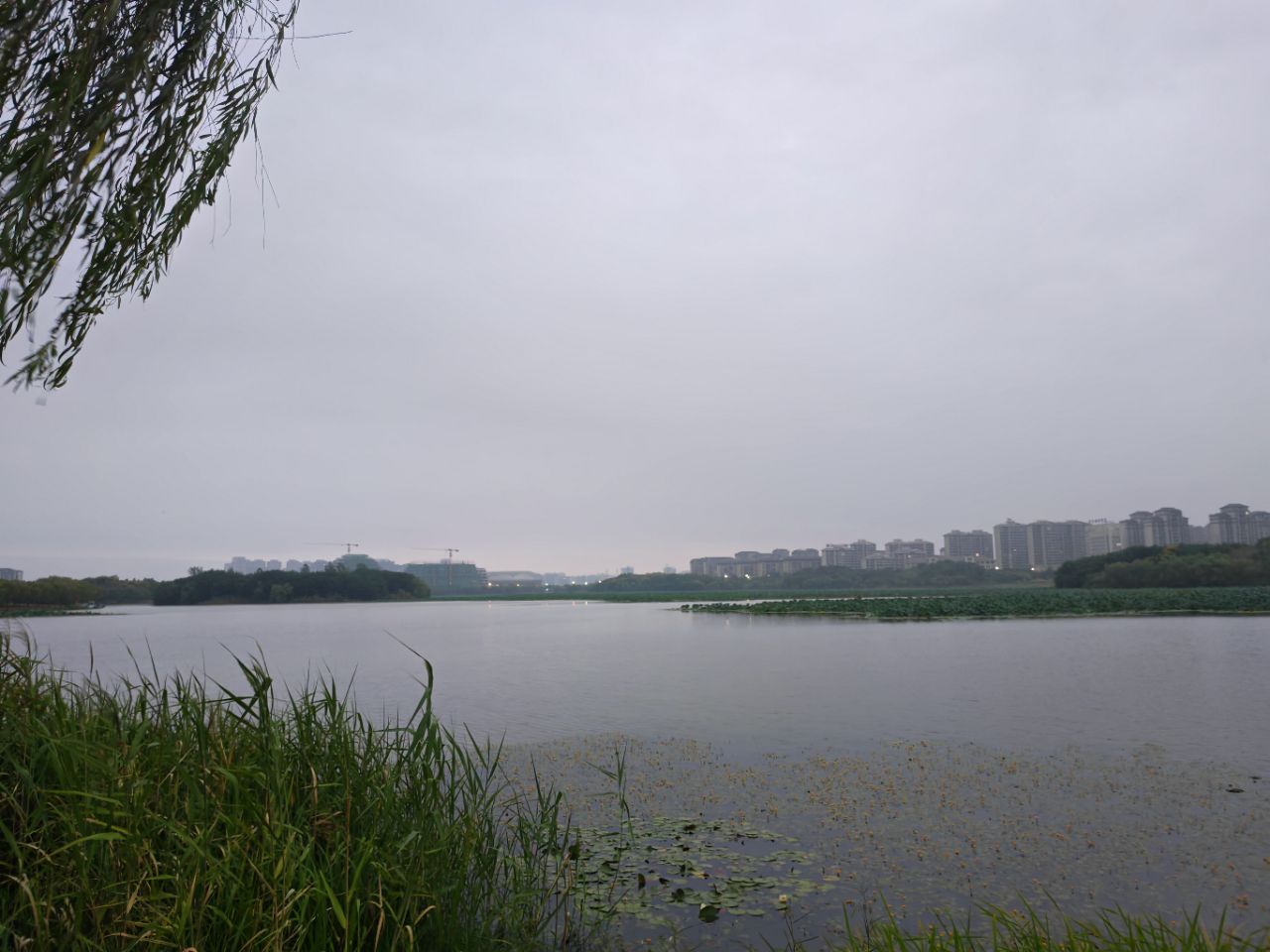 20250913055339front2_0_106881_FnlN14GDr3YHSPLlEaVV4CxT5tjJ.jpg