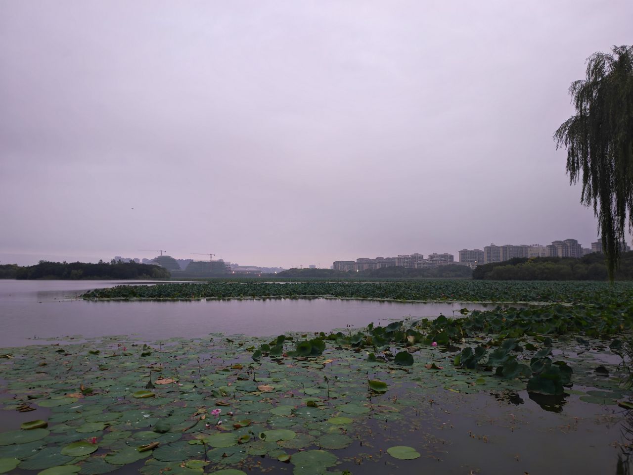 20250913055339front2_0_106881_FpbOC6uLKw_HodQaiqlj5pP52E0b.jpg