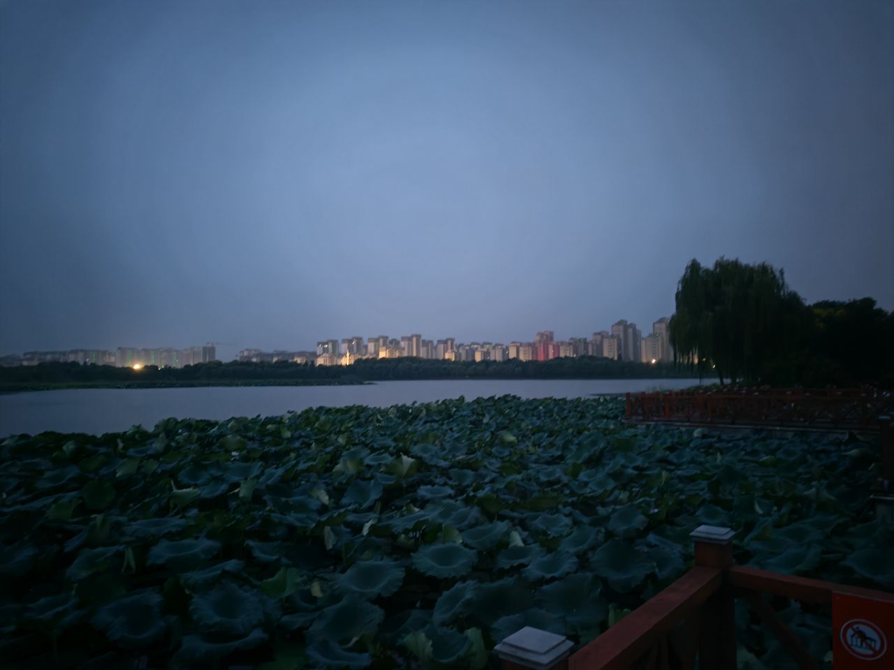 20250913055339front2_0_106881_FuFeVa6Xz7Y58A5DIlihOnDPZqE6.jpg