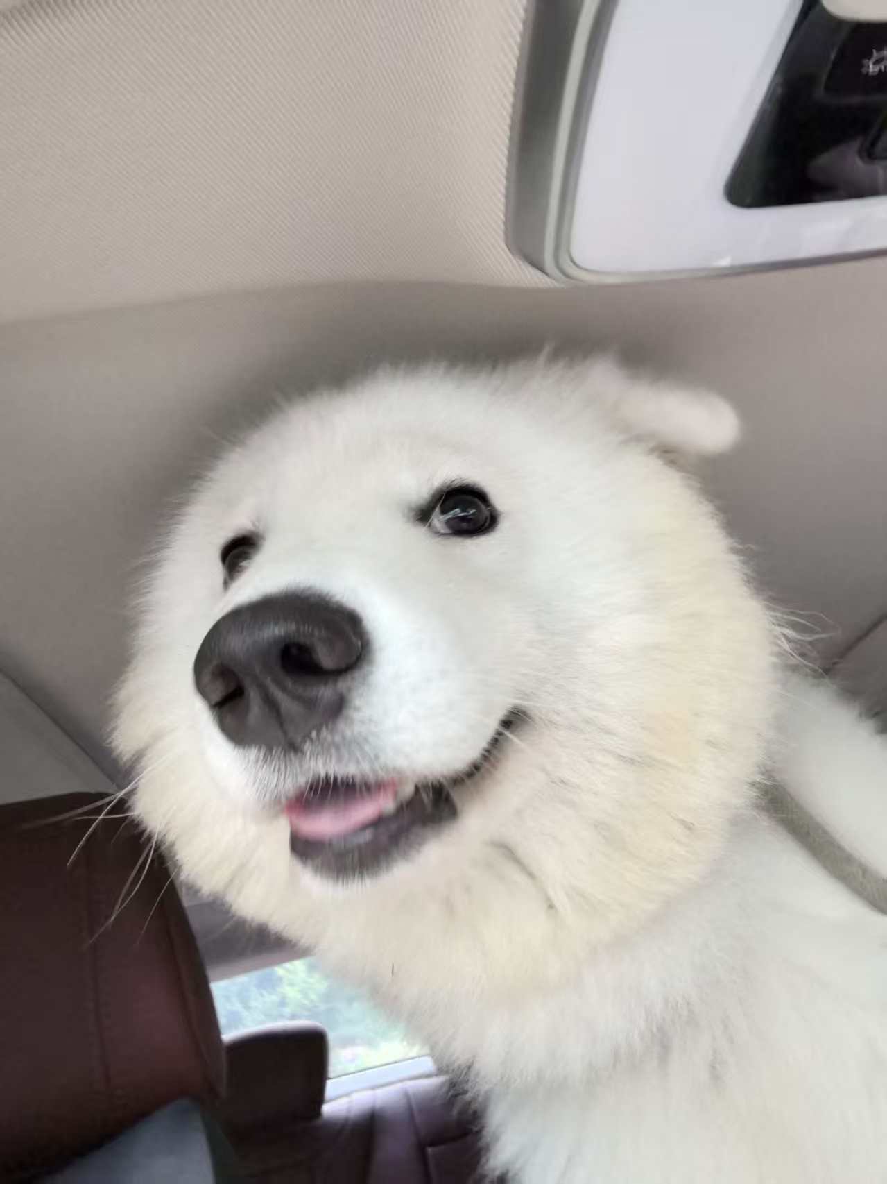 微信图片_20250914175309_11_1.jpg