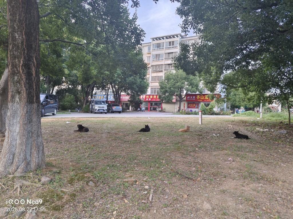 20250919050756front2_0_292421_FsSMK1NWwiLO1IFjgiI3Yk4VUM8v.jpg