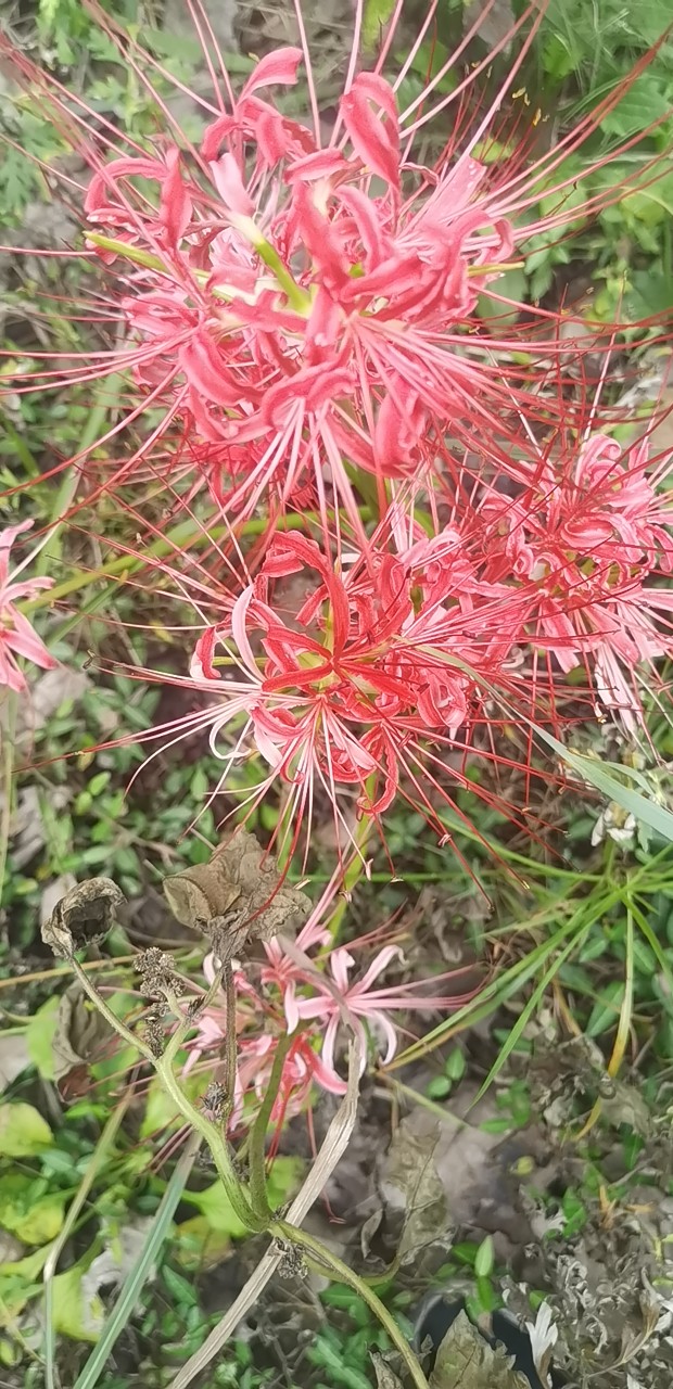 20250921105722front2_0_331929_FsBcKEw_BhcXpOjBUQztM9yxbSDi.jpg