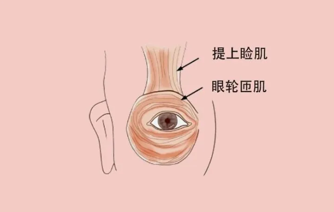 wechat_2025-09-26_161807_245.png