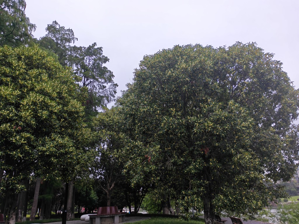 20250929062730front2_0_106881_FuzmOC1pjUQeE1OFQtZ0H412rQ3M.jpg