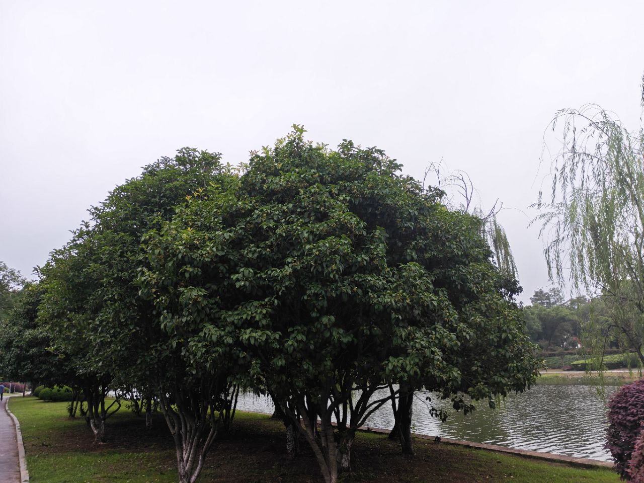 20250929062815front2_0_106881_Fl39yIqSGDW766PGGU4QSf6bqghf.jpg