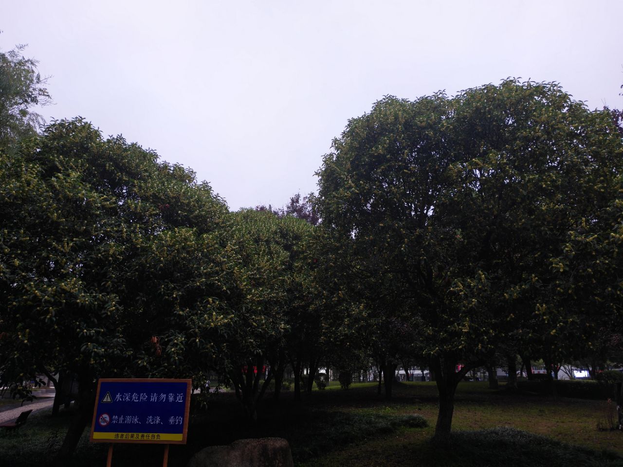 20250930064024front2_0_106881_FkiYQAEvcvHRibGdouU3WbwjLbG3.jpg