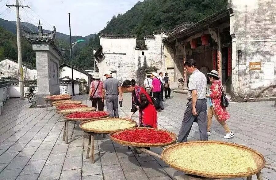 微信图片_2025-10-08_171535_019.jpg