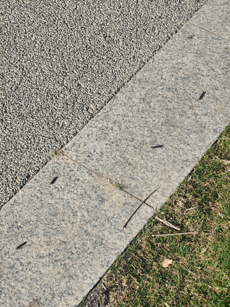176005641512428553.jpg