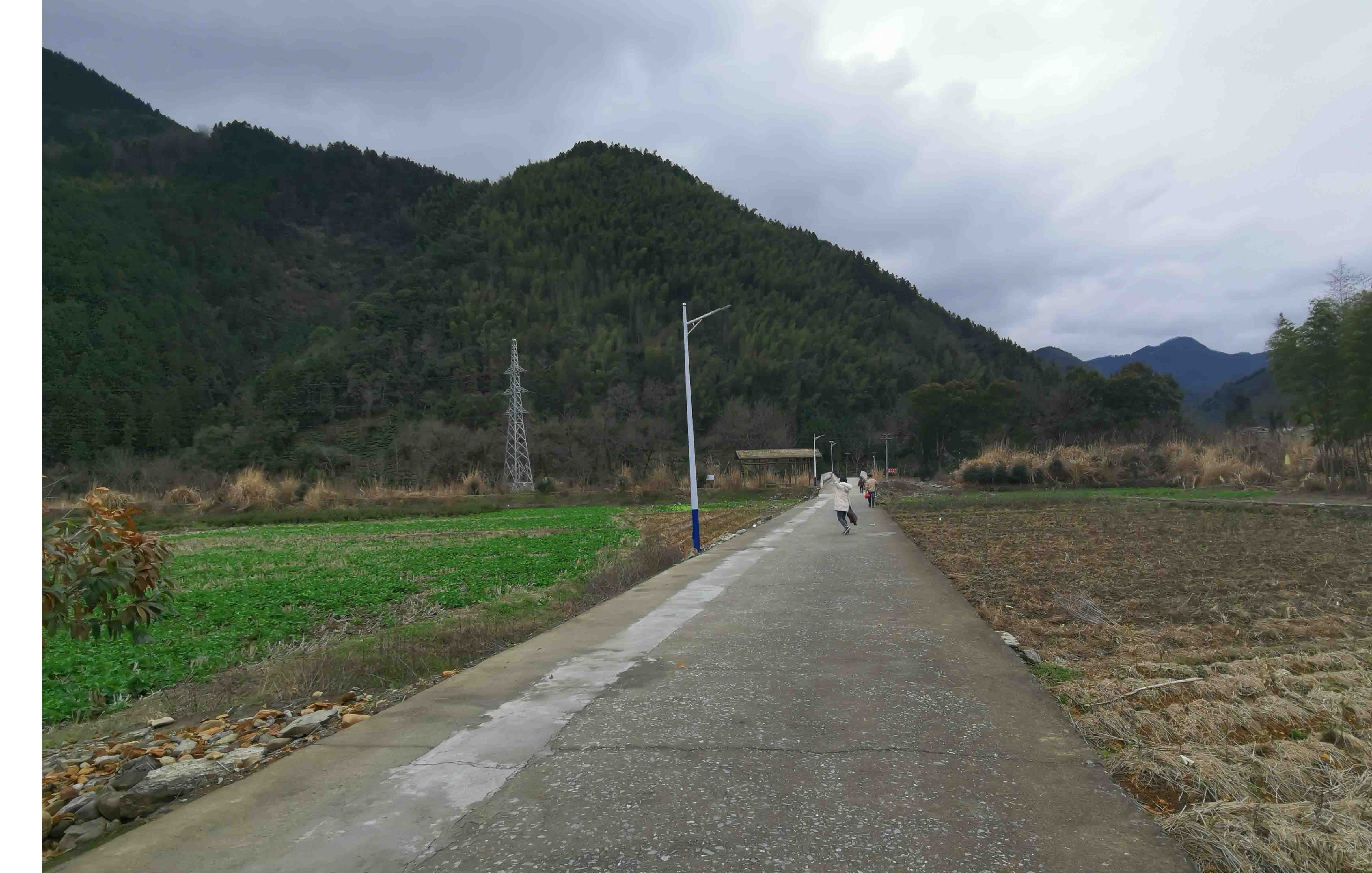 陈田来龙山