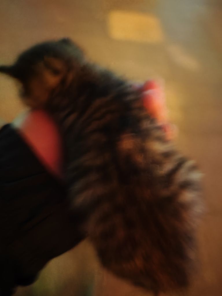 20251014185827front2_0_411954_FgChajSoxZIZ6PwFrs7gjzXDcQ-D.jpg