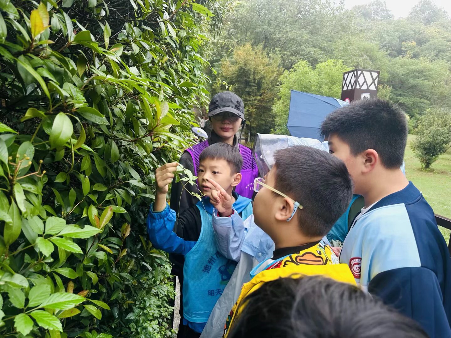QQ图片20251018133227(23).jpeg