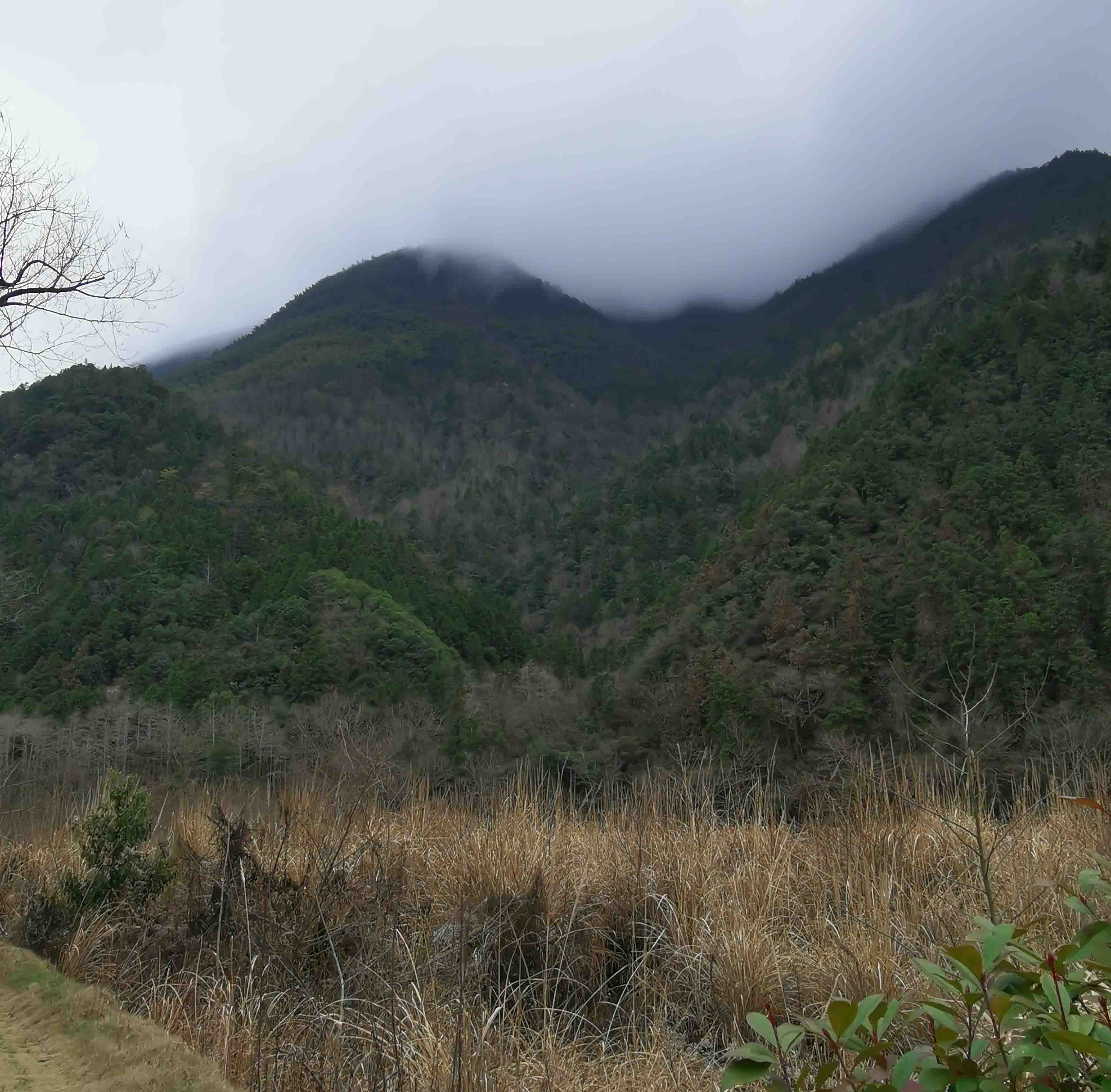陈田春岭坑